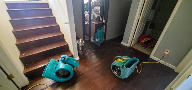 Best Water damage restoration near me  in Comfort, TX
