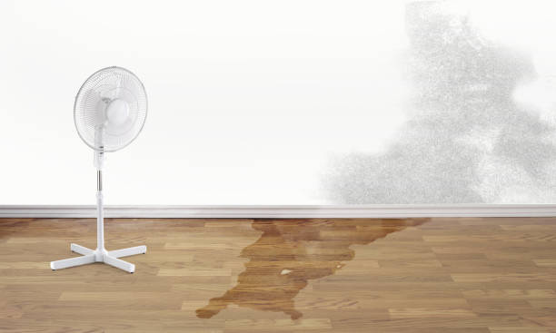  Comfort, TX Water damage restoration Pros
