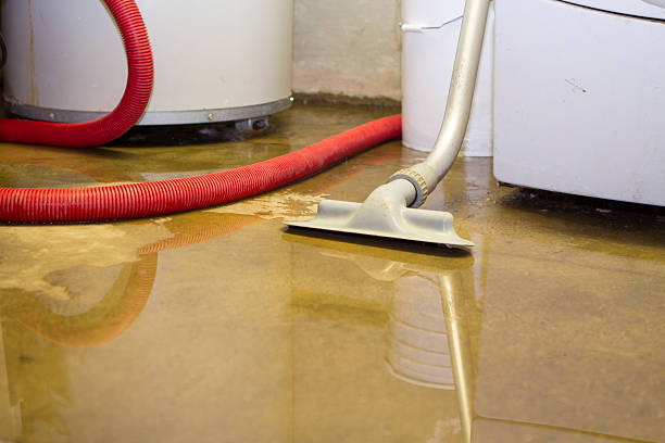 Best Water damage restoration near me  in Comfort, TX