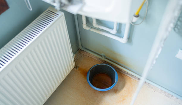 Best Water damage cleanup near me  in Comfort, TX