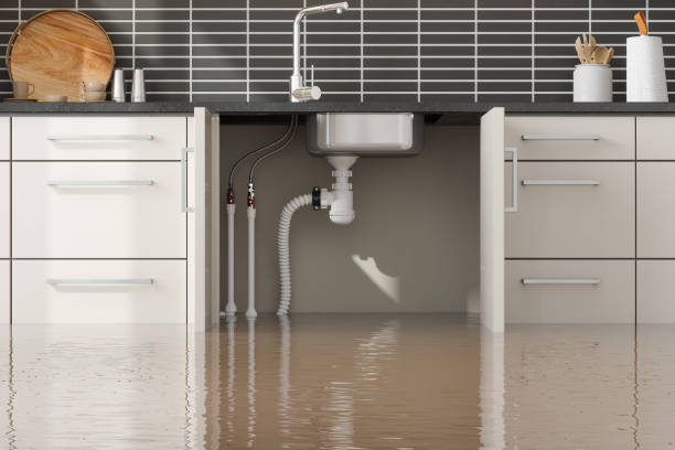 Best Flooded house restoration  in Comfort, TX